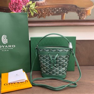 고야드 쁘띠플로 미니 숄더백 GY51551-8 2026/신상